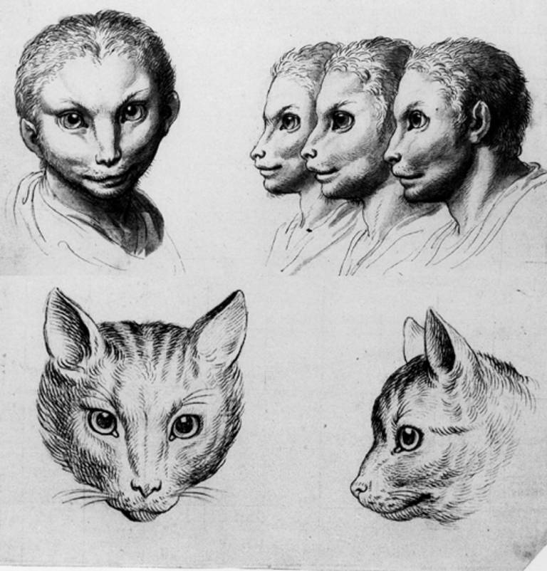 How We Would Look If Humans Evolved From Different Animals? This Is