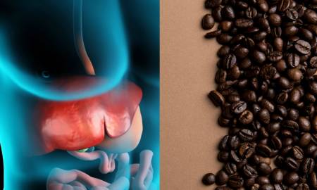 Coffee effects on Your Liver