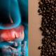 Coffee effects on Your Liver