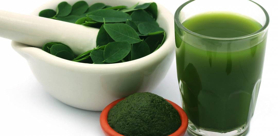 Benefits of drinking moringa