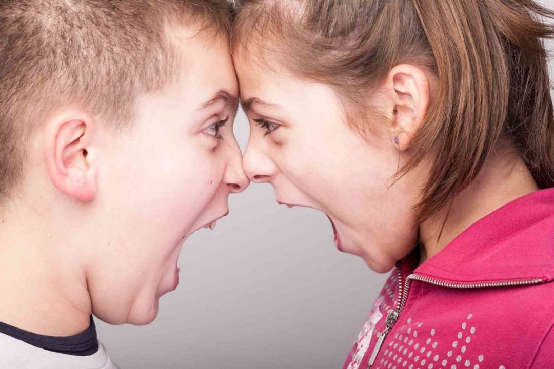 A Comprehensive Guide to Sibling Rivalry