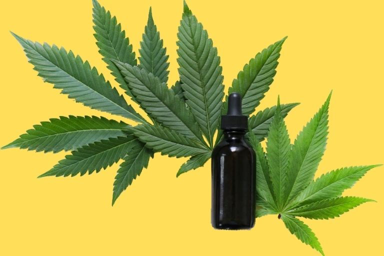 6 Benefits and Uses of CBD Oil