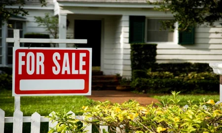 Creating a Healthy Nursery: Beyond the “For Sale” Sign The Top 5 Red Flags That Kill Home Appraisals