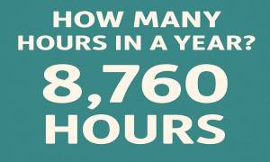 how many hours in a year