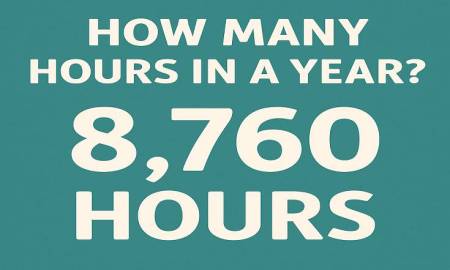 how many hours in a year