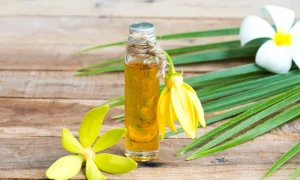 the-benefits-and-uses-of-ylang-ylang-essential-oil