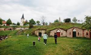 Korpenpelloz
