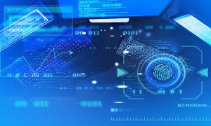 Doge Software Licenses Audit Hud