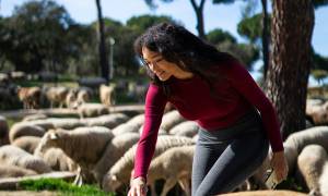 Woolrec