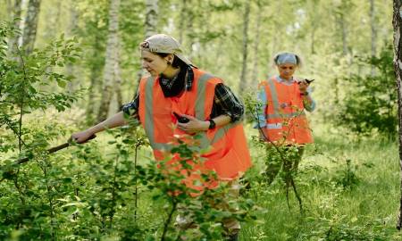 Viltnemnda: Norway Official Municipal Wildlife Board Roles & Laws