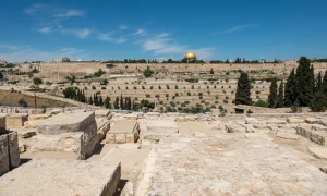 Beit Bart: From Semitic Roots to Today’s Cultural Hub