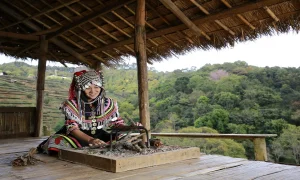 Portar Leisa Origins, Real Uses, Cultural Significance & Practical