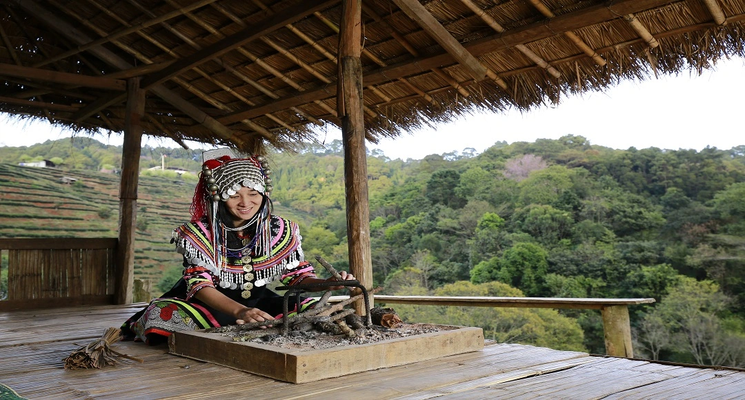 Portar Leisa Origins, Real Uses, Cultural Significance & Practical