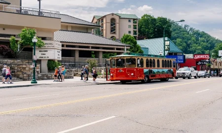 Travel Ideas for Big Groups Looking for a Scenic Escape