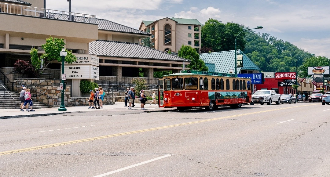 Travel Ideas for Big Groups Looking for a Scenic Escape