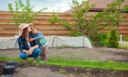 Is It Too Early to Start Backyard Projects in March? What Homeowners Should Actually Be Doing Right Now