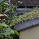 Spring Backyard Drainage Problems That Start at the Roofline