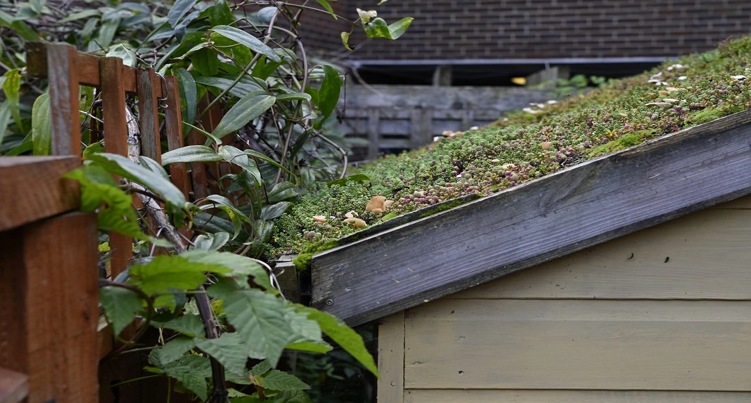 Spring Backyard Drainage Problems That Start at the Roofline