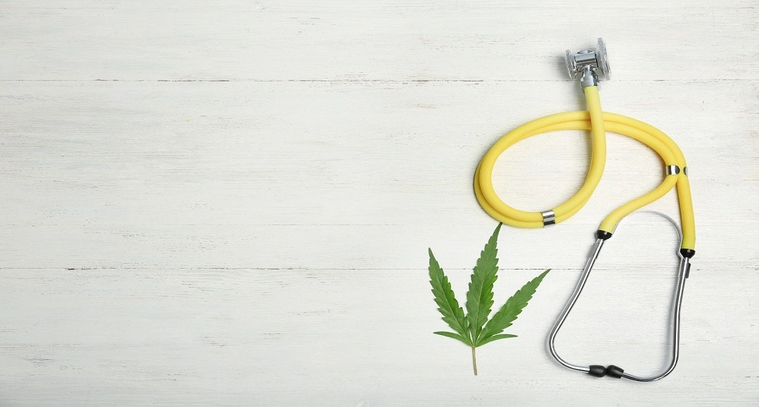 Best Medical Marijuana Products Recommended by Experts for Beginners in Pennsylvania