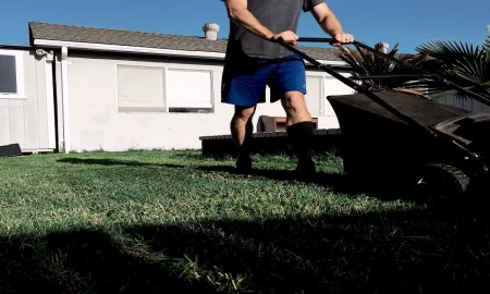 How to Prepare Your Lawn for Spring in Warm Climates