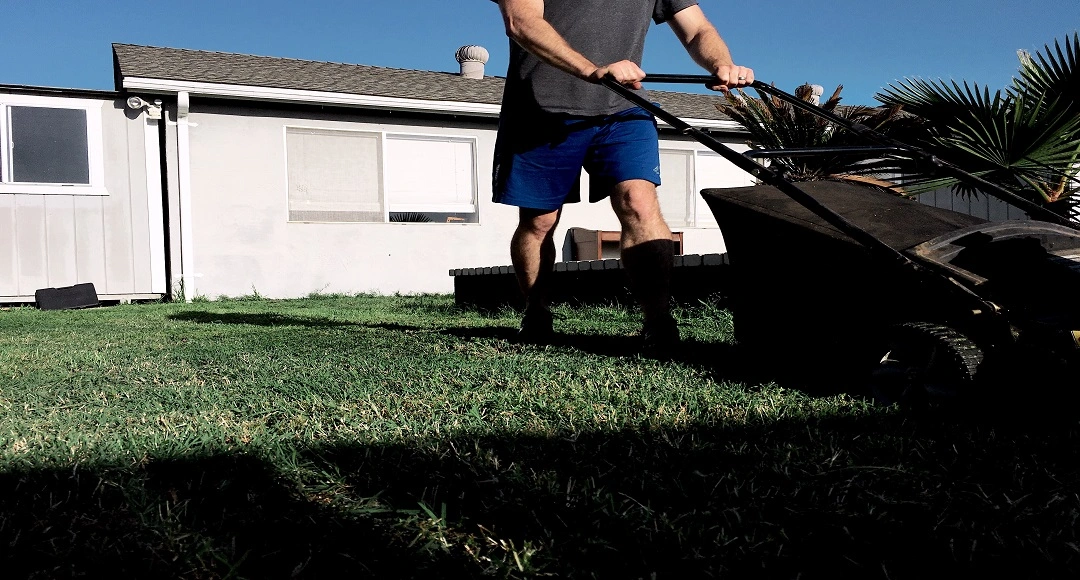 How to Prepare Your Lawn for Spring in Warm Climates