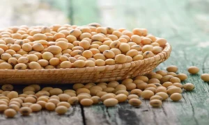 Insoya: Benefits, Nutrition & Why Better Than Daily Soya Chunks