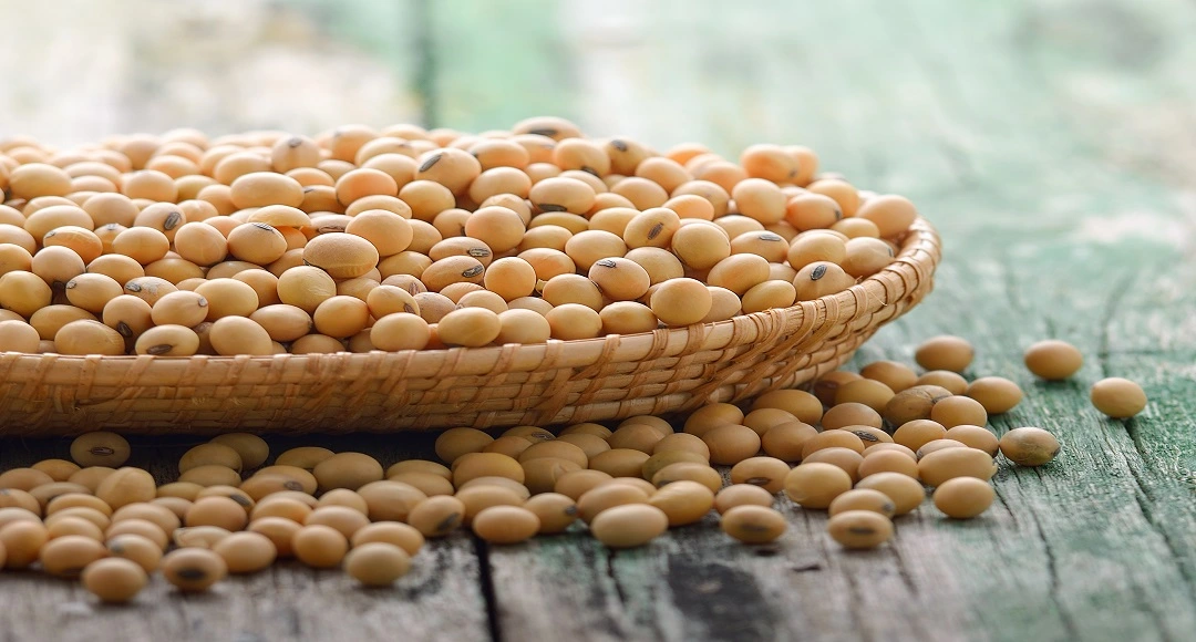 Insoya: Benefits, Nutrition & Why Better Than Daily Soya Chunks