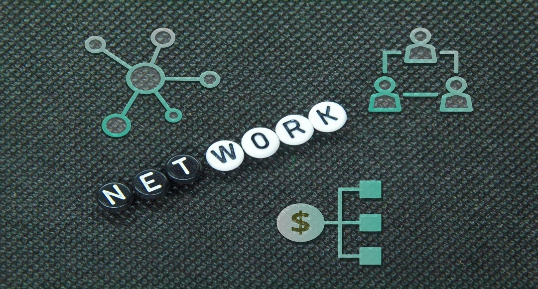 Txmyzone: The Complete Academic & Networking Guide