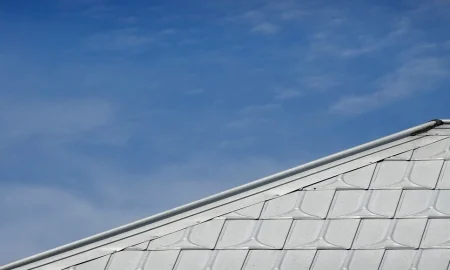 Types of Metal Rooftops Expert Roofers Recommend for Homes in Maple Grove