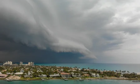 What Most Tampa Bay Homeowners Overlook Before Hurricane Season