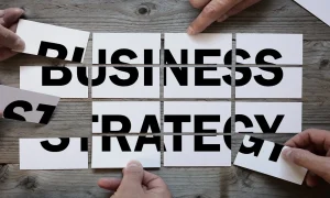 Why Every Organization Needs Strong Business Management for Strategic Decision-Making