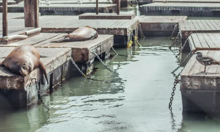 Why Staff Training on Seal Handling Reduces Theft and Errors