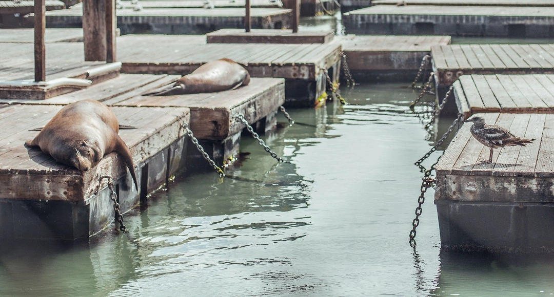 Why Staff Training on Seal Handling Reduces Theft and Errors