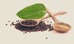 Koriandri: Amazing Health Benefits, Recipes, and How to Use It