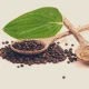 Koriandri: Amazing Health Benefits, Recipes, and How to Use It