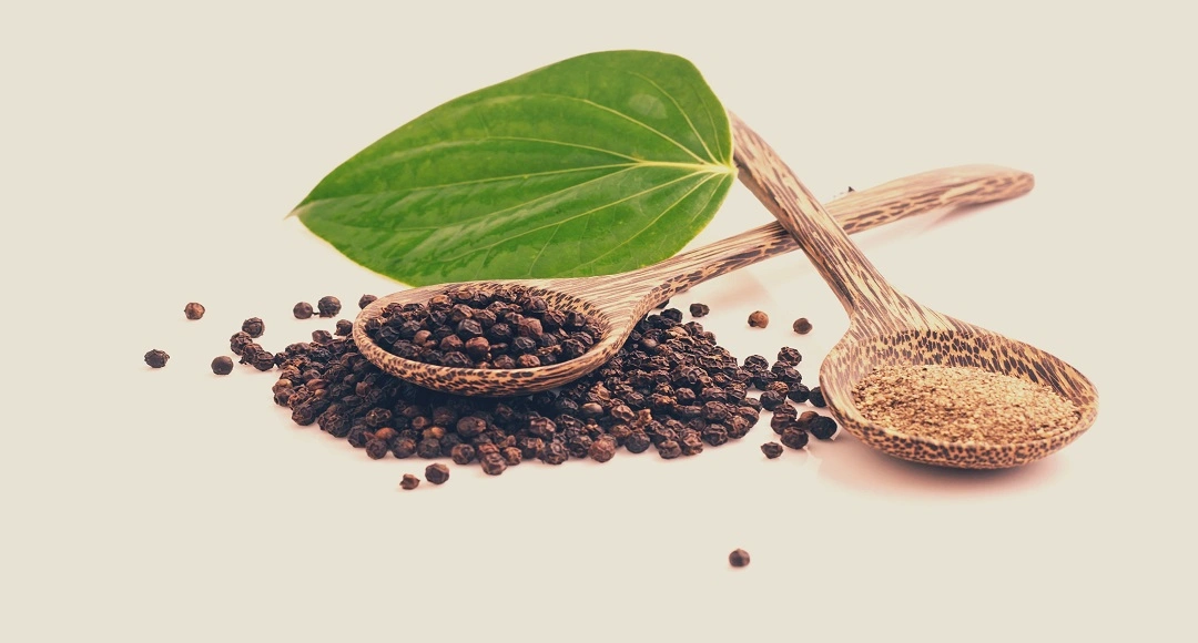Koriandri: Amazing Health Benefits, Recipes, and How to Use It