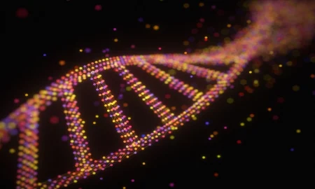 Using DNA to Know Who You Are