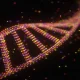Using DNA to Know Who You Are