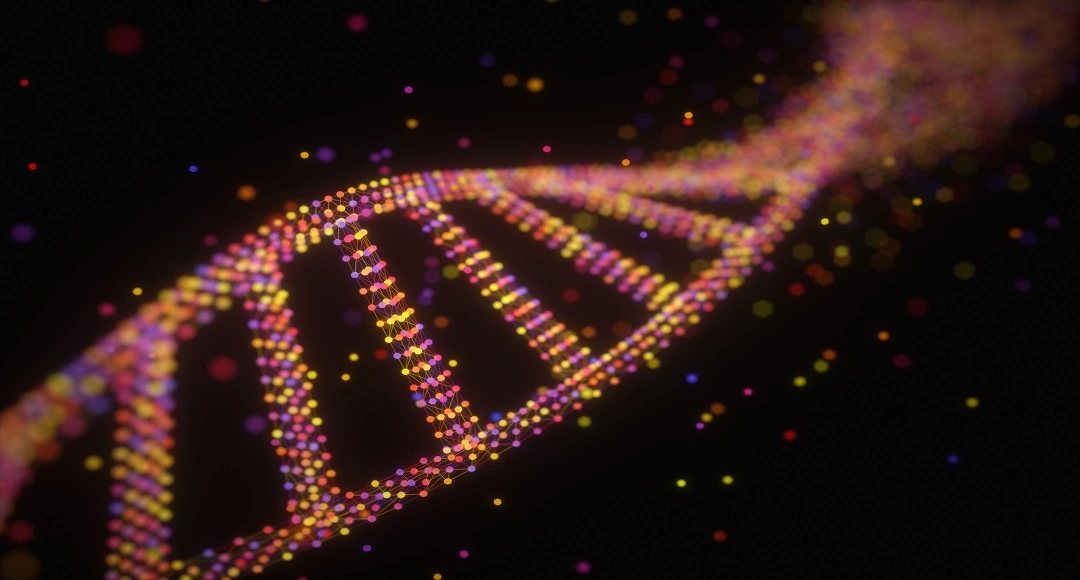 Using DNA to Know Who You Are