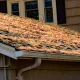 Why Pine Needles Cause More Roof Problems Than Most Olympia Homeowners Realize