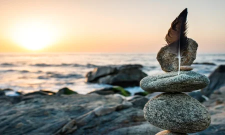 Creating Space for Healing in a Fast-Paced World