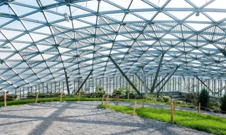 Bodenxt: Inside Sweden’s Smart Green Transformation