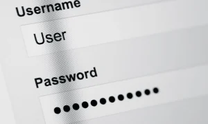 InstaPV: Review & Hidden Dangers Before You Browse Anonymously