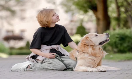 Therapy Dog Tasks – How They Can Help