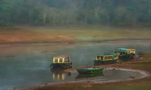 Why Kabini Continues to Shape South India’s Wildlife Travel Circuit