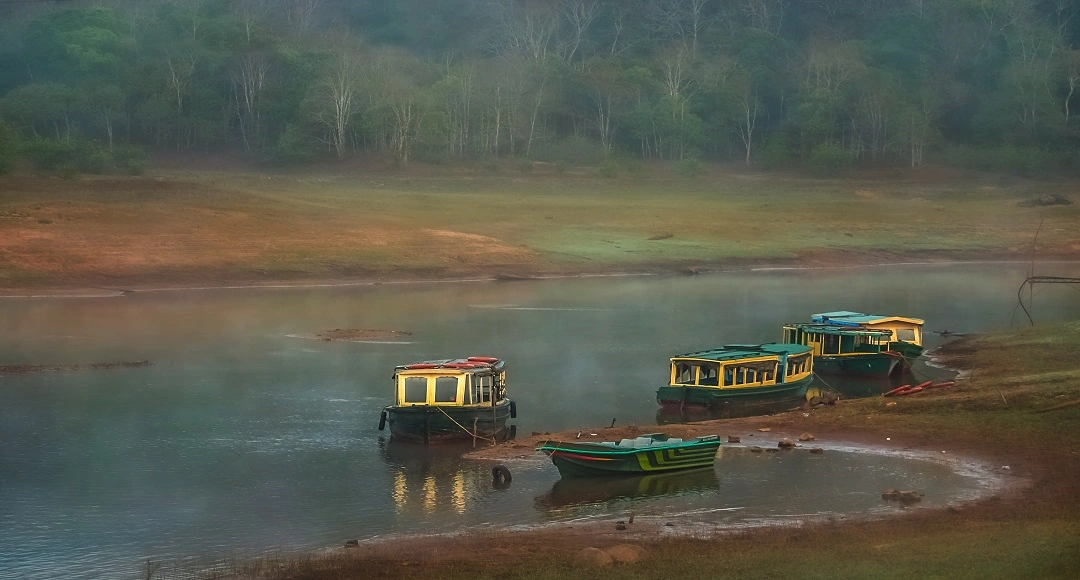 Why Kabini Continues to Shape South India’s Wildlife Travel Circuit