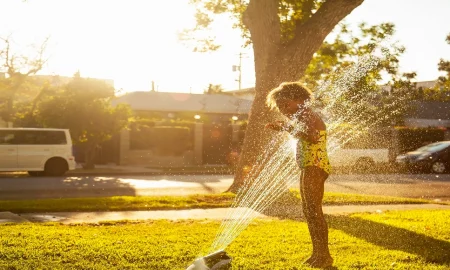 Why Your Backyard Feels Hotter Every Summer Than It Did a Few Years Ago