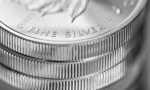 Best Practices for Buying, Storing, and Protecting Silver Bullion