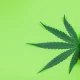 Broad Spectrum CBD Explained: What It Is and How It Works