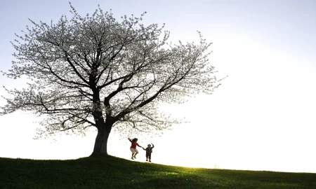 Family Tree Now: How to Discover Your Ancestry and Build Your Family History